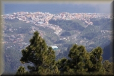 Santa Cruz